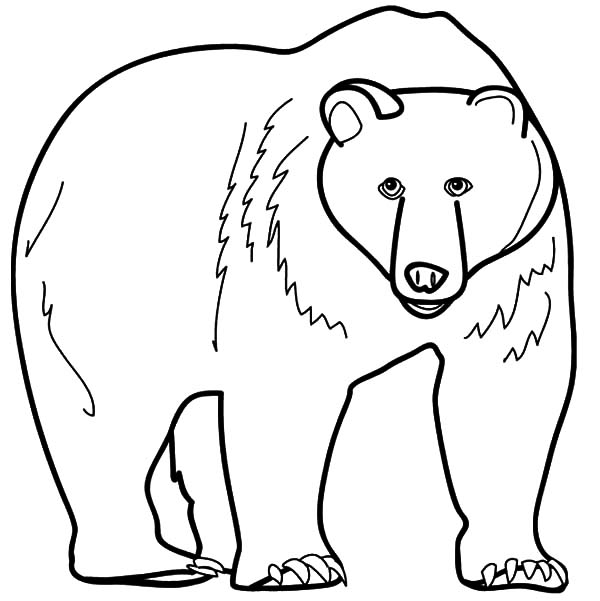600x601 Grizzly Bear Coloring Pages 1959692