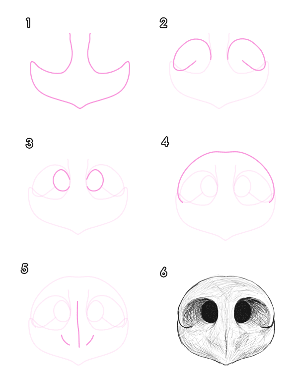 600x770 How To Draw Animals Bears And Pandas, And Their Anatomy