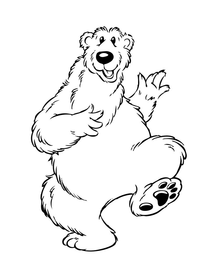 Grizzly Bear Drawing Step By Step at GetDrawings | Free download