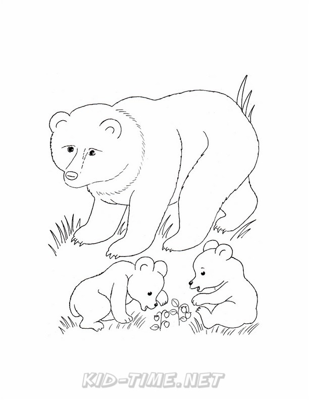612x792 Grizzly Bear Coloring Pages 104.jpg Kids Time Free Coloring Book