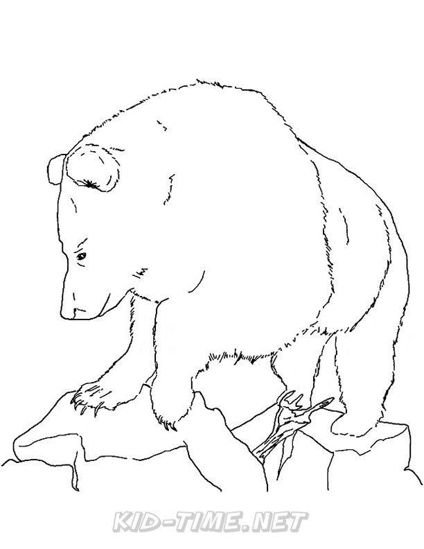 612x792 Grizzly Bear Coloring Pages 107.jpg Kids Time Free Coloring Book