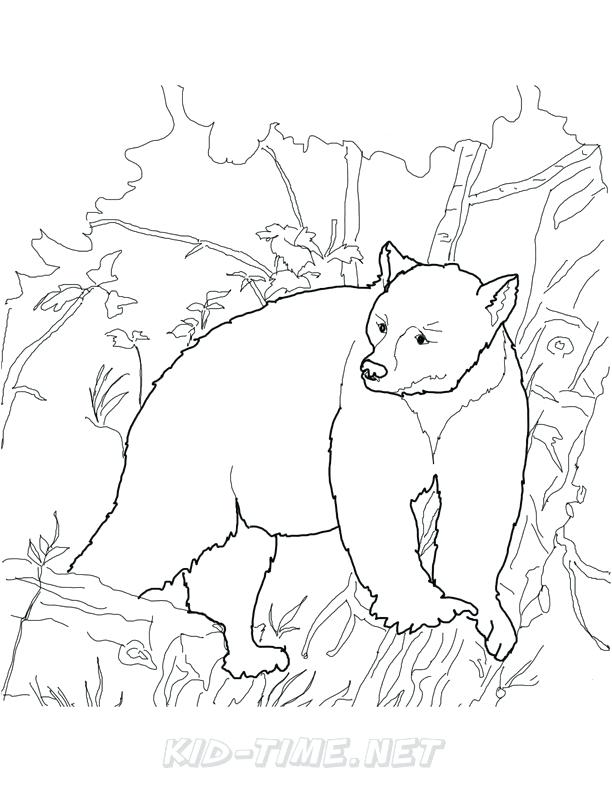 612x792 California Bear Coloring Page