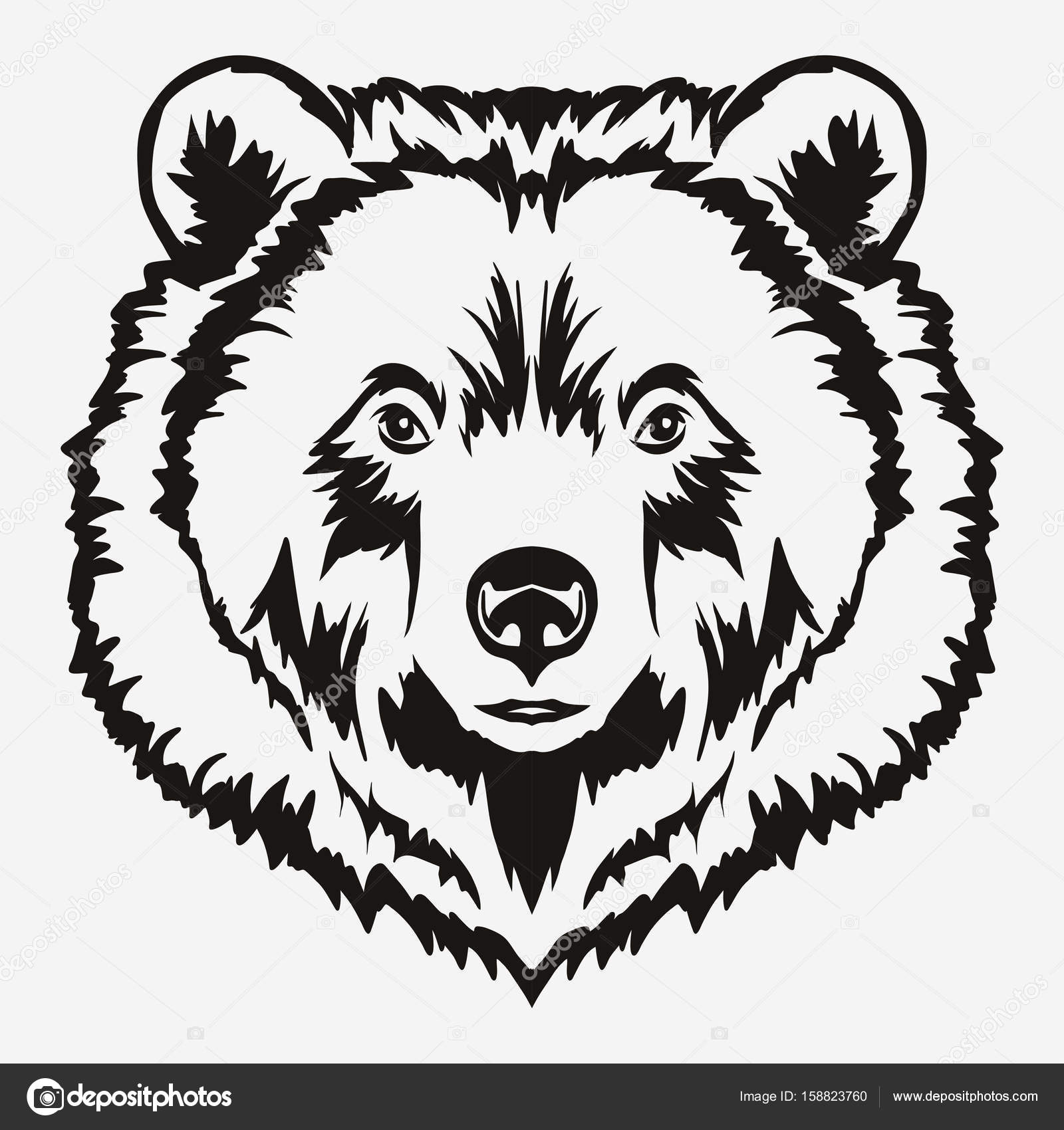 1600x1700 Bear Head Cartoon Vector Stock Vector Ambassador80