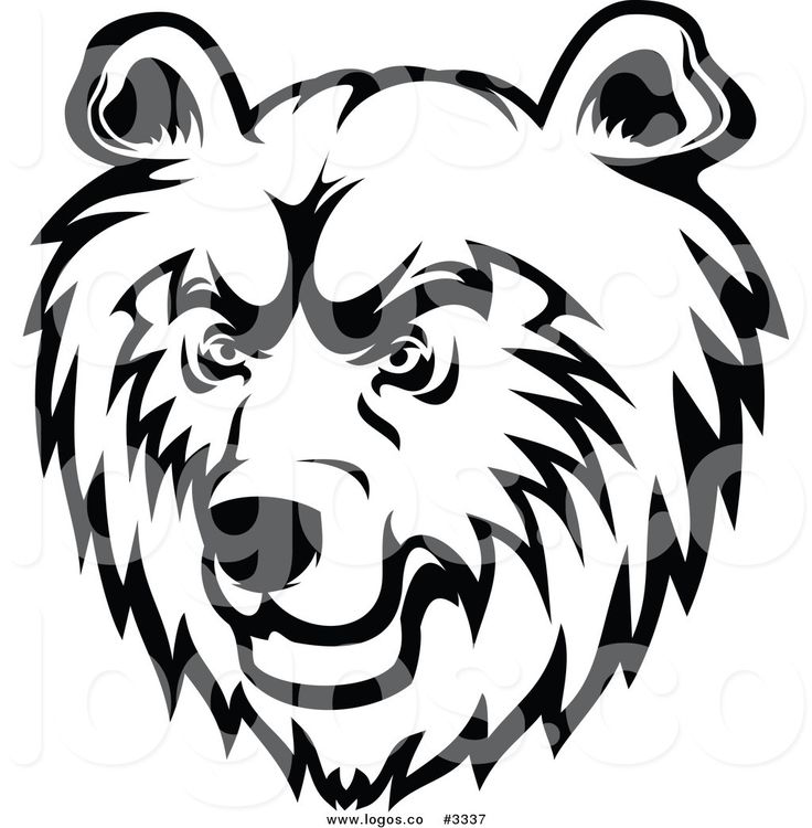 736x750 Face Clipart Grizzly Bear
