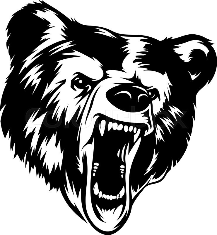 741x800 Grizzly Bear Head Black White Vector Illustration. It Can Be Used