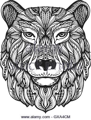 Grizzly Bear Head Drawing at GetDrawings | Free download
