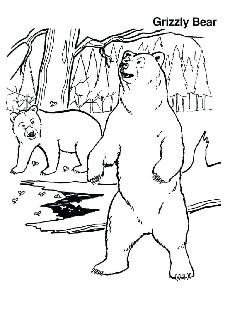 750x1000 Grizzly Bear Coloring Pages In Addition To B On Grizzly Bear