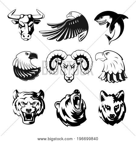 450x470 Grizzly Bear Images, Illustrations, Vectors