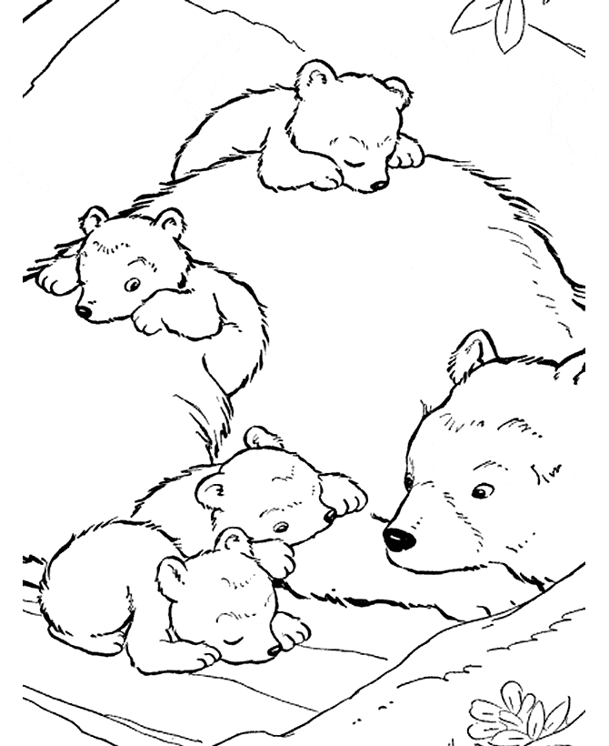 670x820 Grizzly Bear Coloring Page