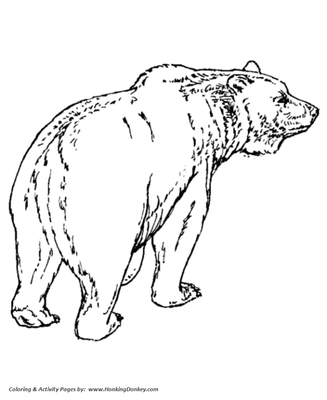 670x820 Wild Animal Coloring Pages Bear Coloring Page And Grizzly Bear