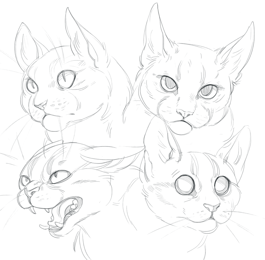 900x882 Cat Doodles By Shade On @