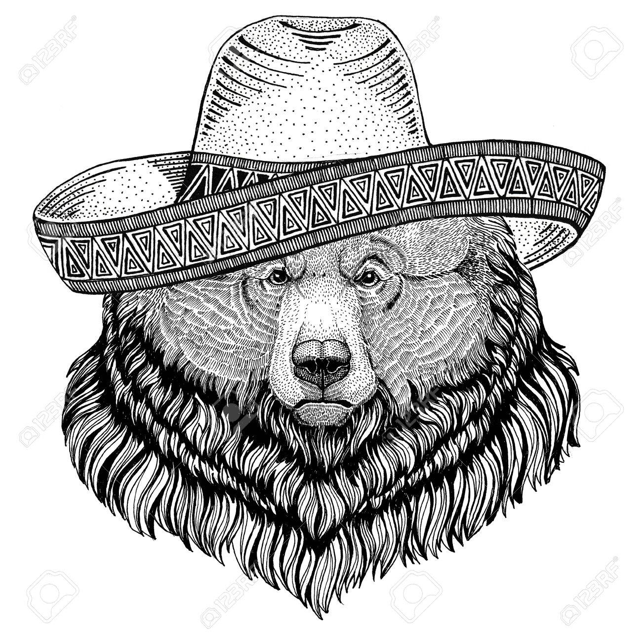 1300x1300 Grizzly Bear Big Wild Bear Wild Animal Wearing Sombrero Mexico