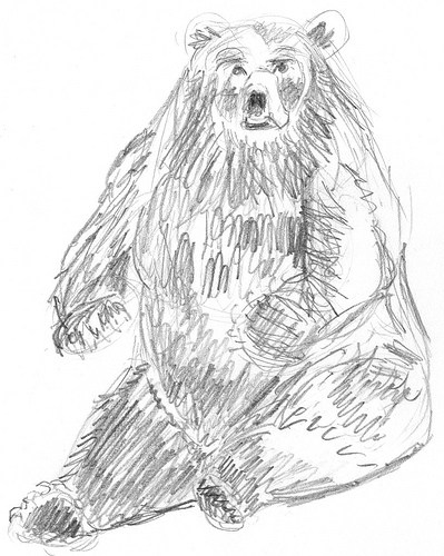 399x500 Animals So Much To Do, So Little Time