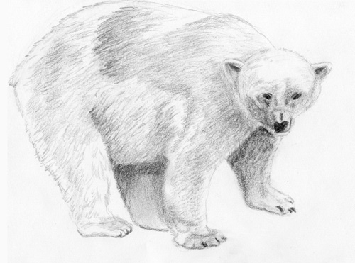 500x371 Basic 101 Class 22