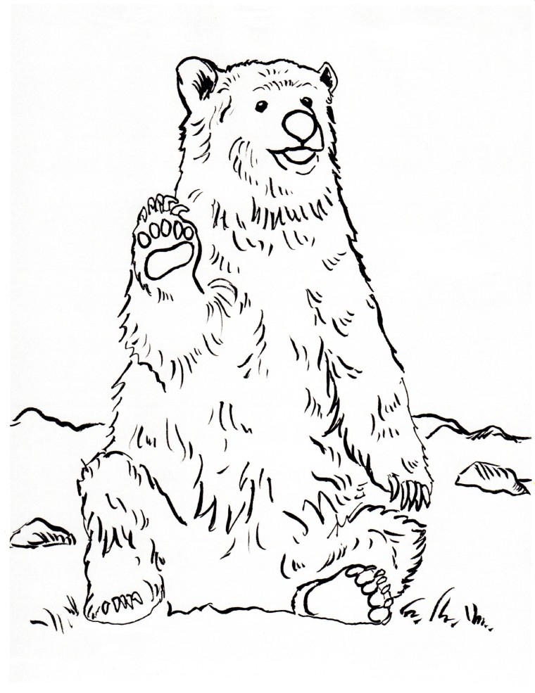760x985 Grizzly Bear Coloring Page