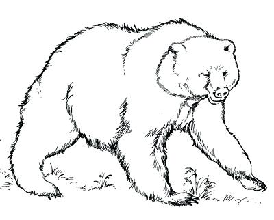 400x322 Grizzly Bear Coloring Pages As Well As Animals For Grizzly Bear