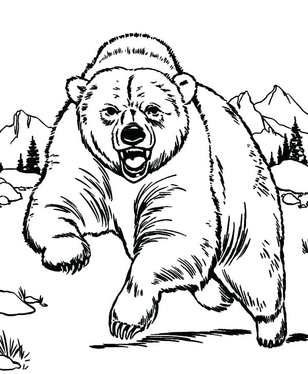 600x727 Grizzly Bear Coloring Pages Free Little Page Of Loves The Children