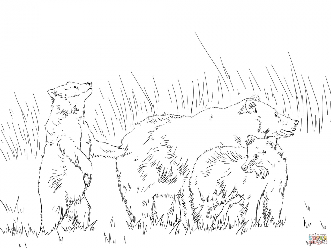 1280x960 Grizzly Bear Coloring Pages With Two Cute Cubs Page