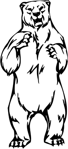 274x600 Grizzly Bear Drawing Standing