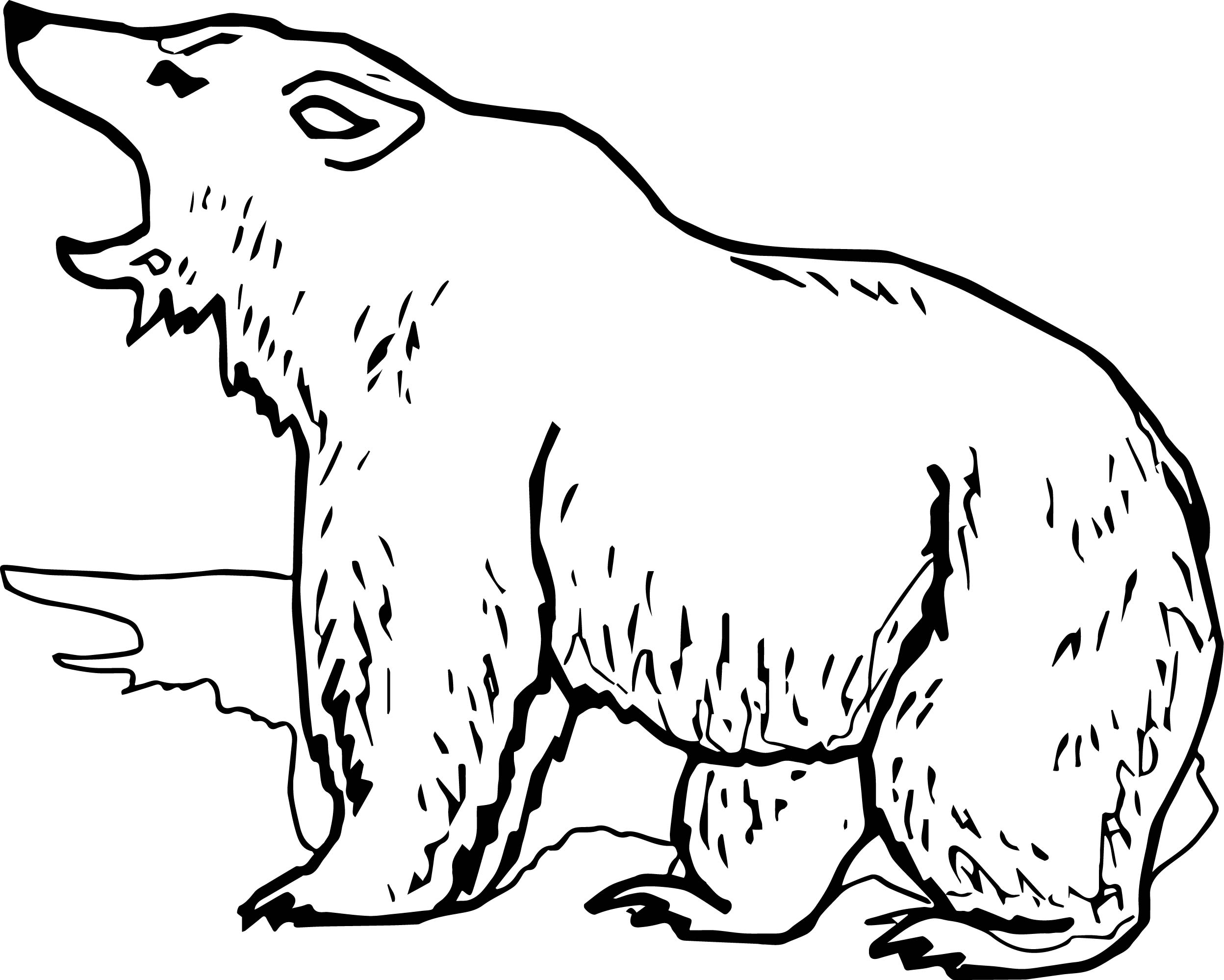 2496x1999 Grizzly Bear Yell Coloring Page Wecoloringpage