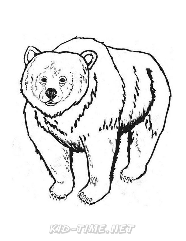 612x792 Grizzly Bear Coloring Pages 091.jpg Kids Time Free Coloring Book