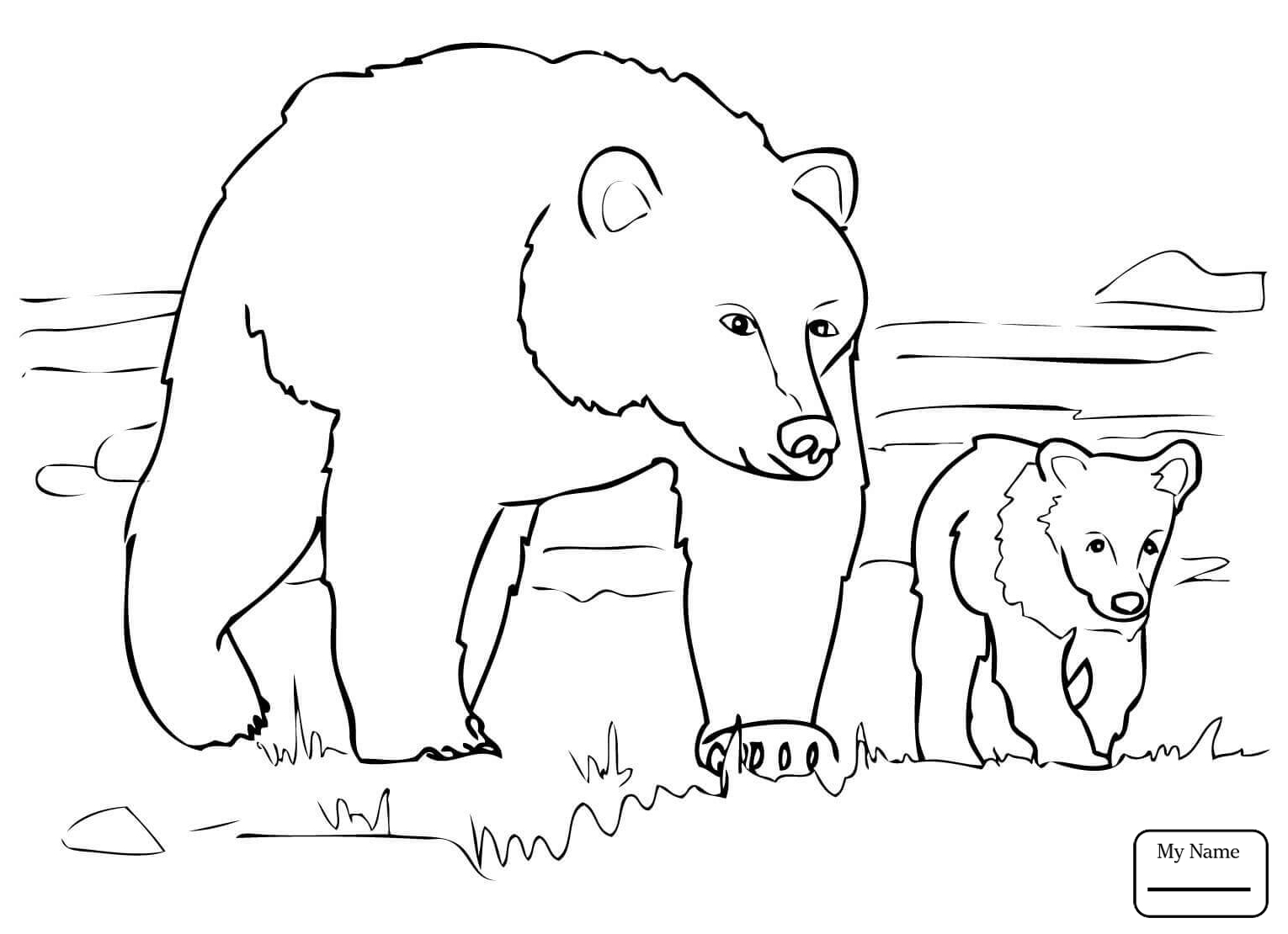1530x1110 Mammals Grizzly Bear Family Grizzly Bears Coloring Pages