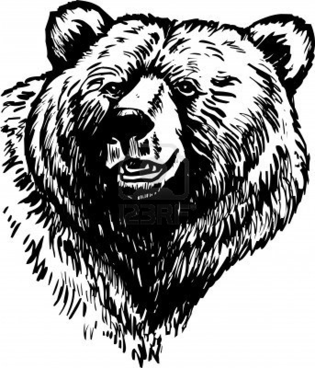 1029x1200 Bear Grizzly Bear Drawing