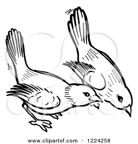 450x470 Drawing A Ground Line