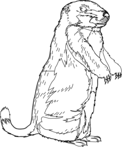 249x299 Groundhog Blank Clip Art
