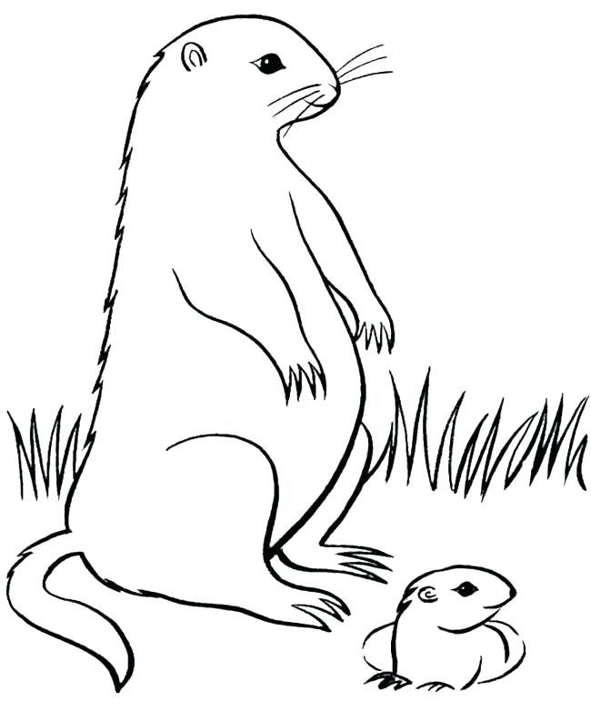 650x782 Groundhog Coloring Sheets Click To See Printable Version