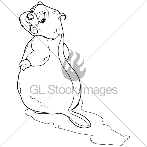 500x500 Groundhog Looking At His Shadow Coloring Page Gl Stock Images
