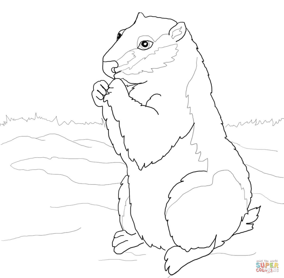 1200x1176 Groundhogs Coloring Pages Free Coloring Pages