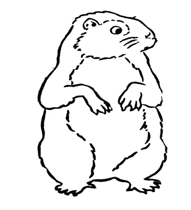 620x684 Luxury Groundhog Color Page Kids Coloring Pages G Is For Book