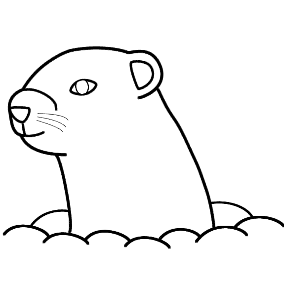 575x575 Groundhog (Version 2)