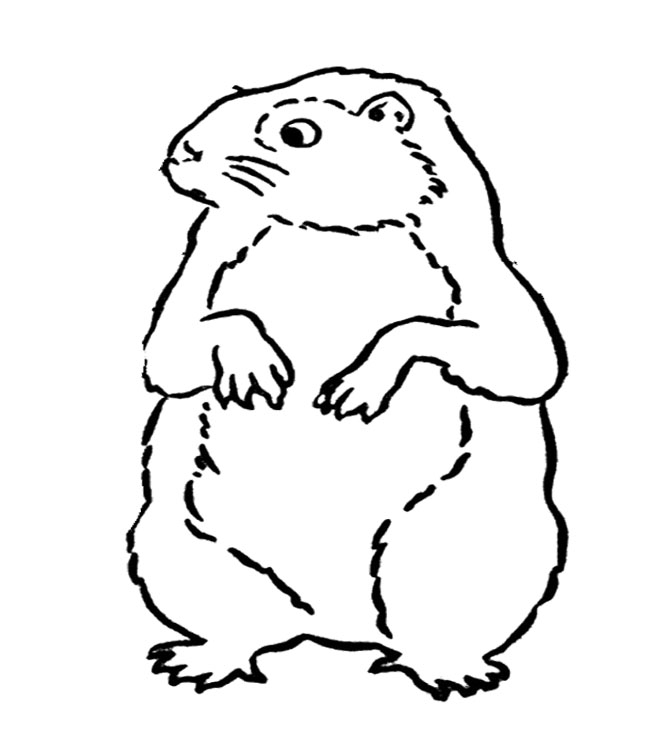 650x747 Groundhog Day Cold Coloring Page Groundhog Day Coloring Page