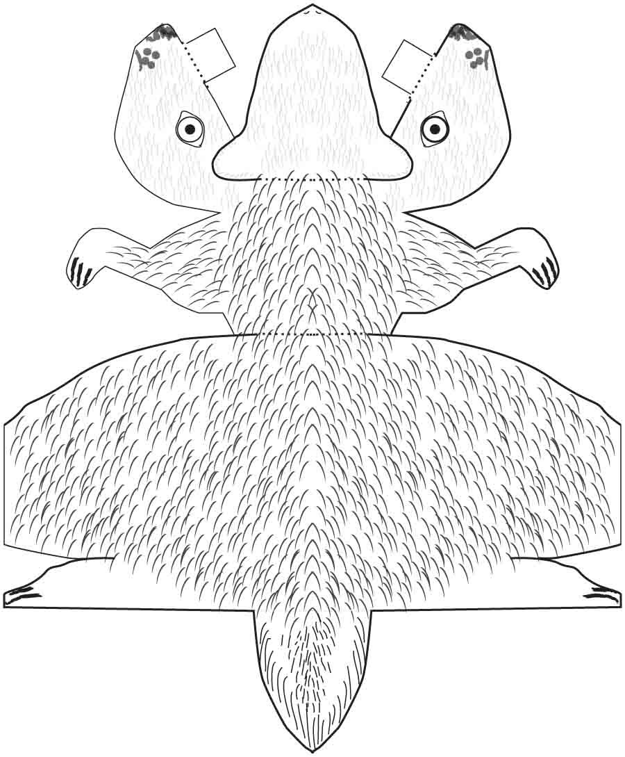 900x1089 Illinois Natural History Survey Groundhog