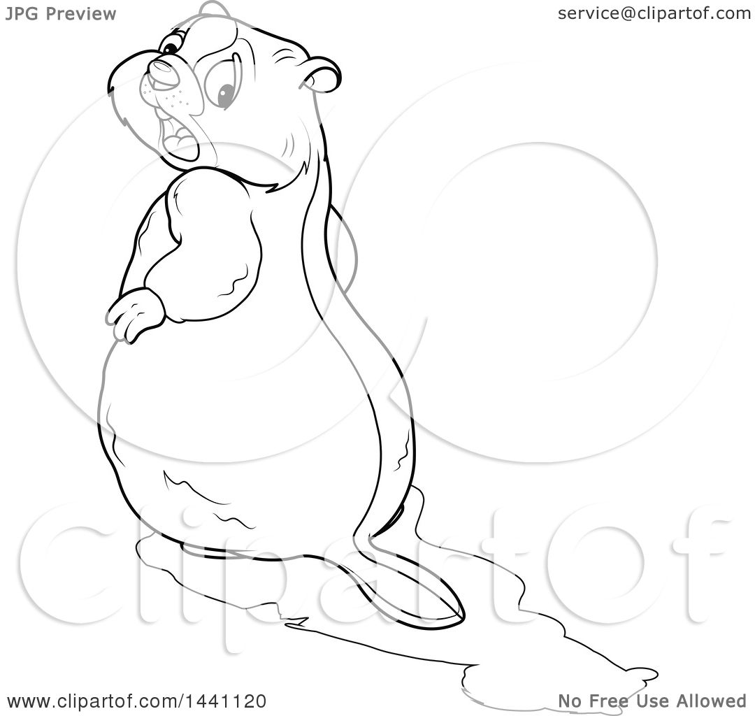 1080x1024 Clipart Of A Cartoon Black And White Lineart Groundhog Looking