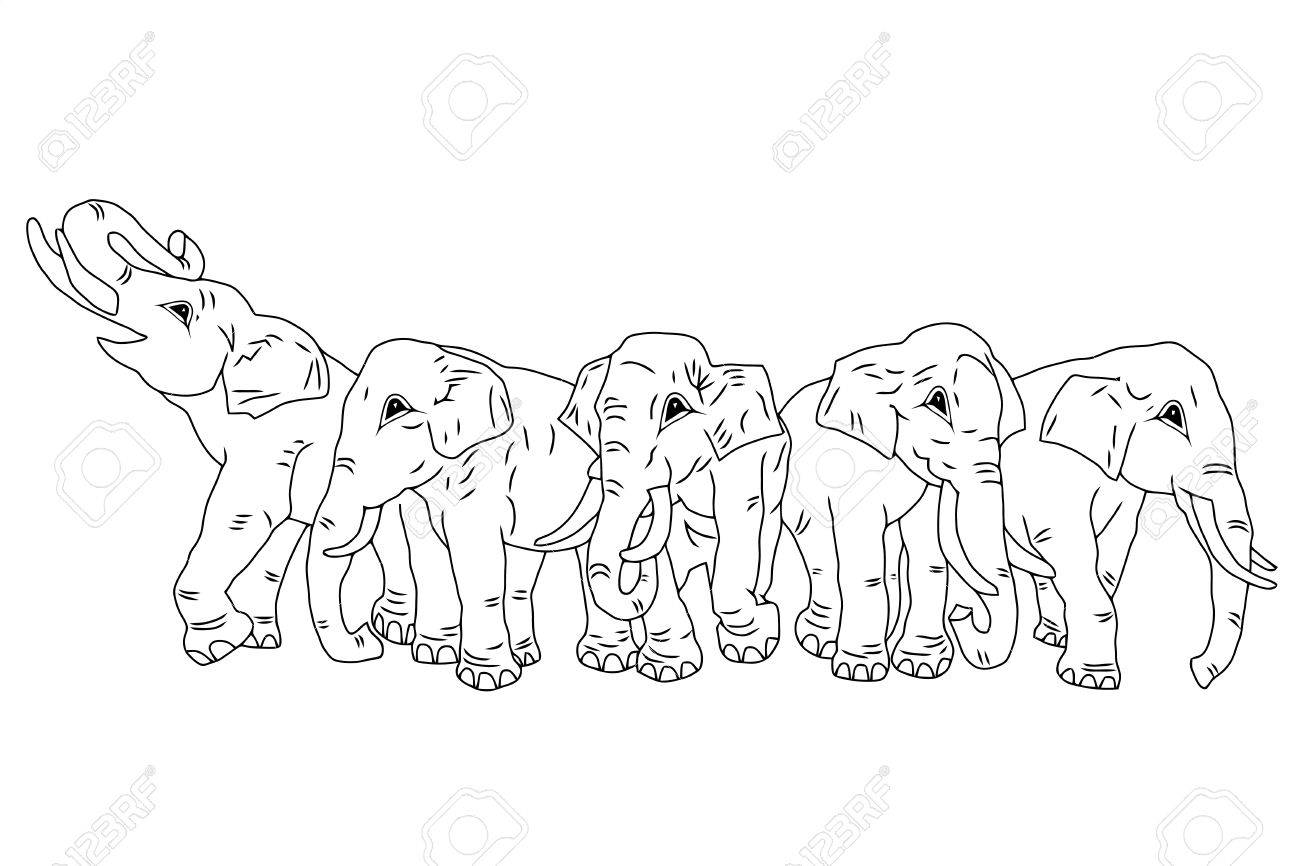 1300x866 Drawing Of Group Of Five Elephants On The Isolated Background