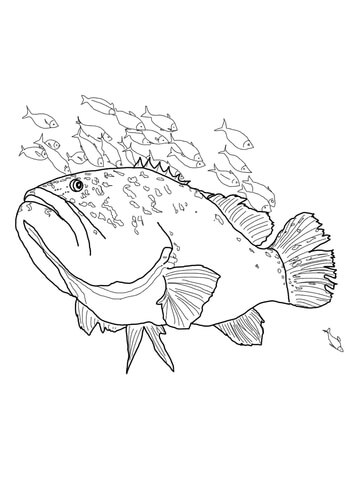 360x480 Giant Grouper Coloring Page Free Printable Coloring Pages