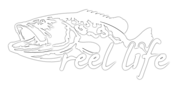 600x300 Grouper Decal