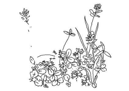 423x300 Stop Taking Pictures And Start Drawing! Personal Growth Medium