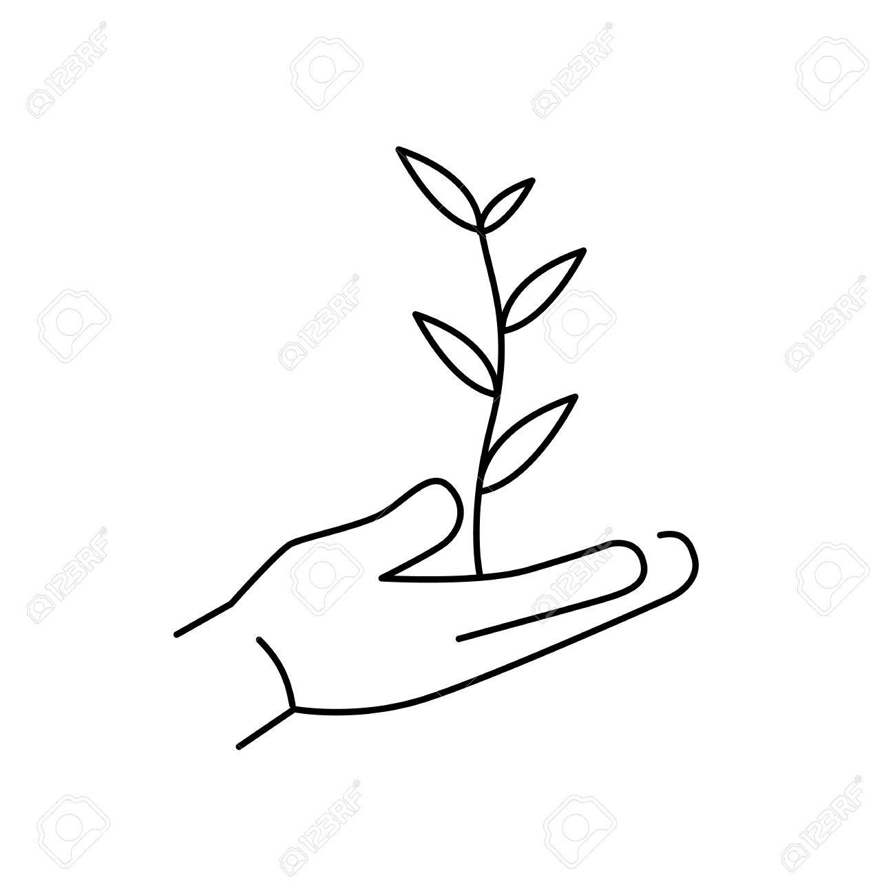 1300x1300 Growing Plant In Hands Ecology Environment Vector Icon