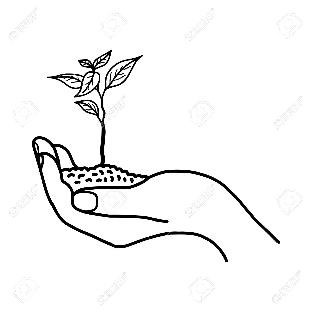 1300x1300 Growing Plant Or Sprout With Soil In Left Hand