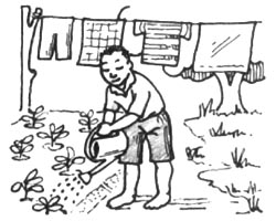 250x200 Setting Up And Running A School Garden