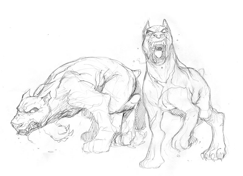 800x579 On Bergdahl, Bird Dogs And Constructive Politics Huisjen'S