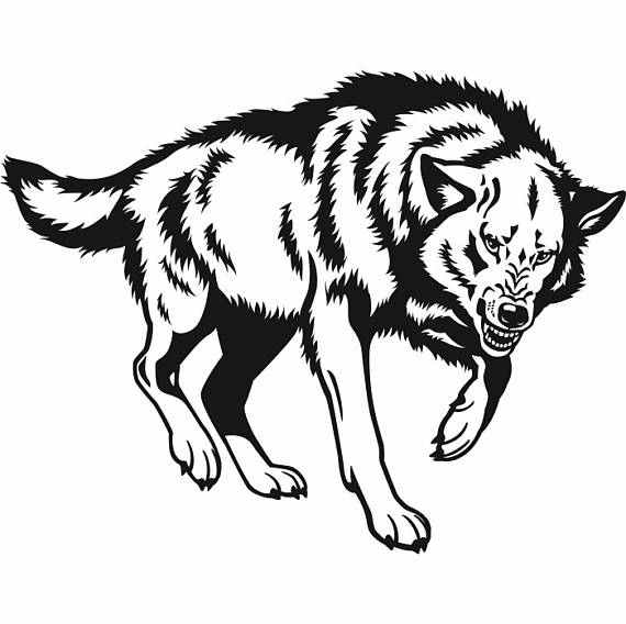 570x568 Wolf