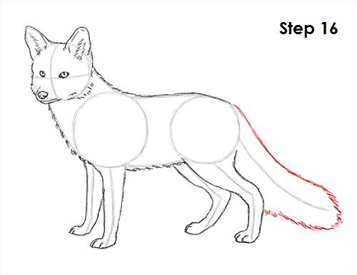500x386 How To Draw A Fox