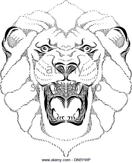 438x540 Lion Roar Black And White Stock Photos Amp Images