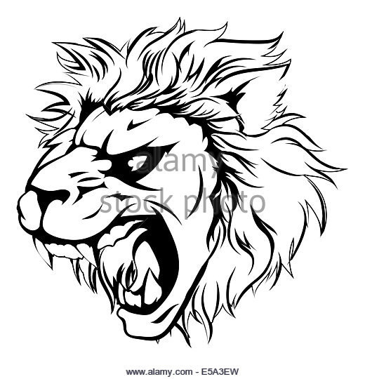 520x540 Lion Roar Cut Out Stock Images Amp Pictures