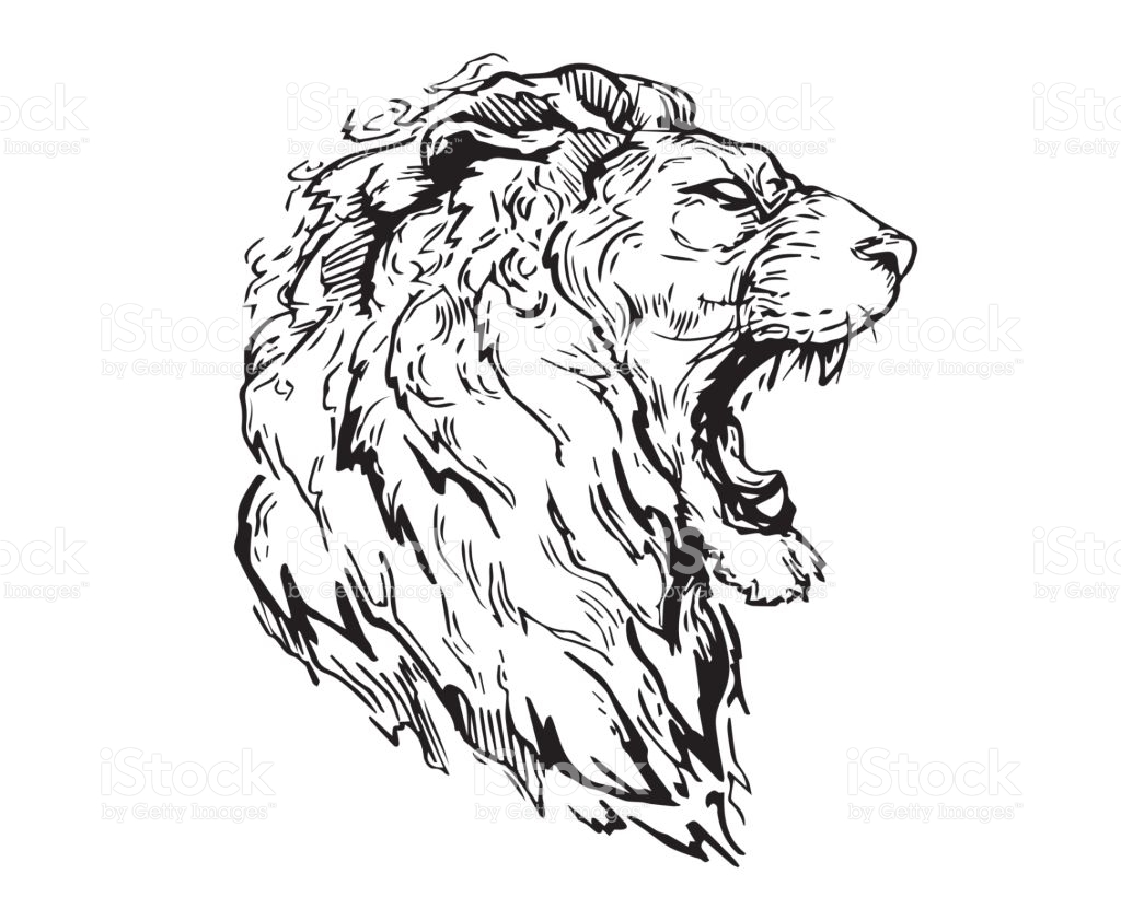 1024x820 Angry Lion Drawing Animal Stairs And Art